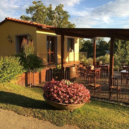 Agriturismo Petrognano Sant'Ellero Bagian luar foto